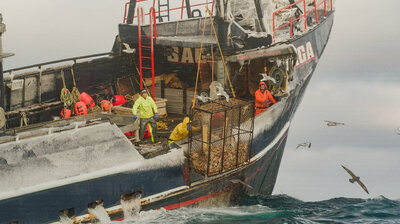 Bering Sea Wrecking Ball