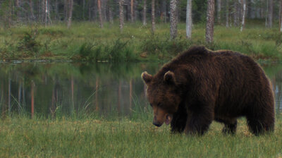 Mountain Men S09E13