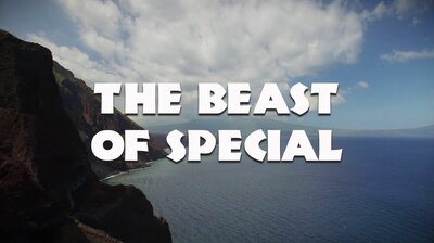 The Beast of Special