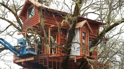 A Sushi Lover's Treehouse