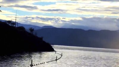 An Ogopogo Sighting and More