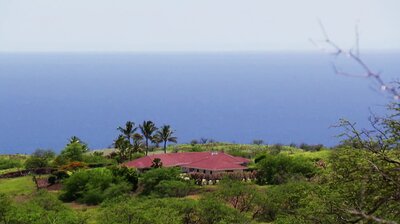 A View from the Big Island