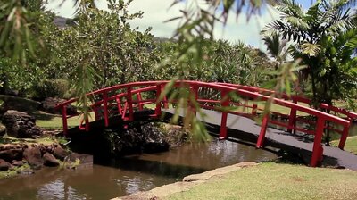 A New Adventure on Oahu