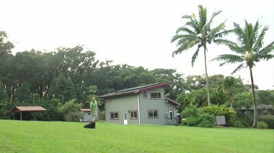 Finding a Farm on Maui