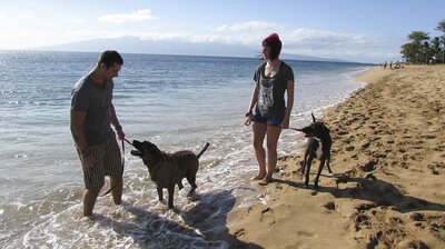 From Seattle to Amazing Maui