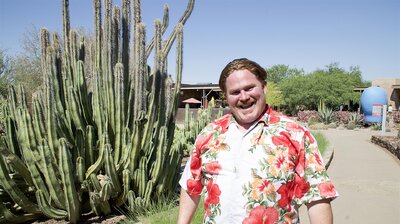Phoenix, AZ