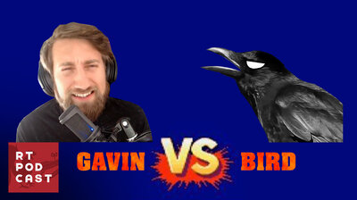 Gavin vs The Bird - #593