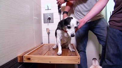 Dog's Best Bathroom