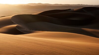 Namib: Skeleton Coast and Beyond