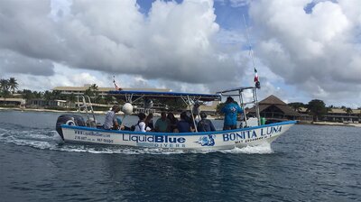 Pursuing Passions in Cozumel