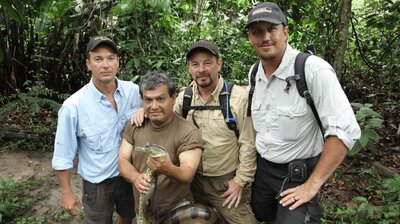 Cane Toad Madness