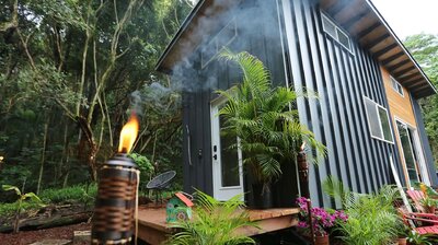 Hawaiian Jungle Smart Home