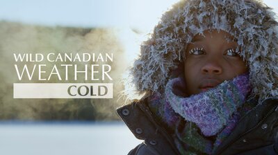 Wild Canadian Weather: Cold