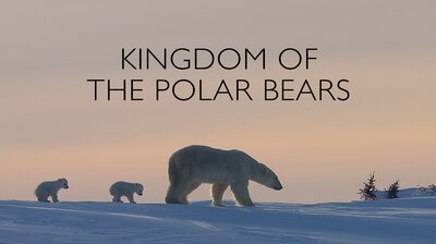 Kingdom of the Polar Bears: Part 1