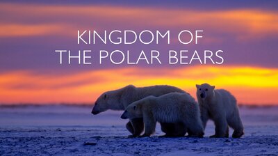 Kingdom of the Polar Bears: Part 2