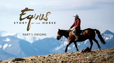 Equus: Story of the Horse - Origins