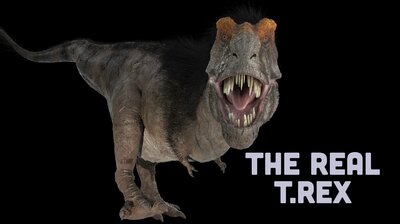 The Real T.Rex
