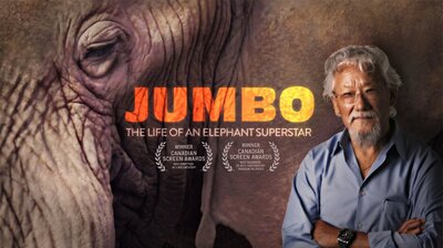 Jumbo: The Life of an Elephant Superstar