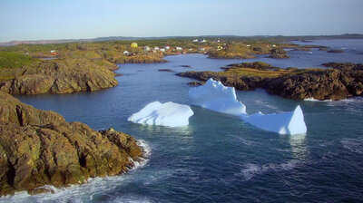 Newfoundland's North Coast