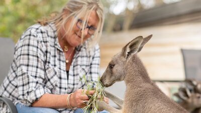 Theresa and Scruff's Kangaroo Haven