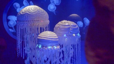 Cities, Skates and Jellyfish Cakes
