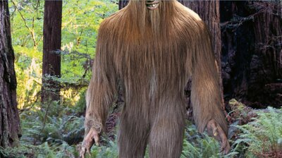 Bigfoot Revealed