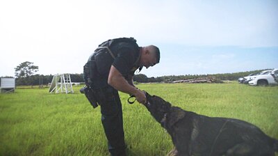 K9