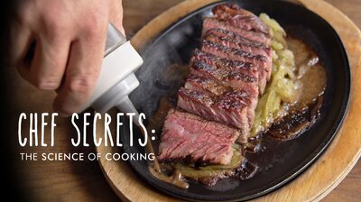 Chef Secrets: The Science of Cooking