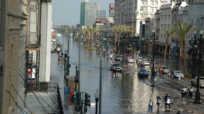 Tacoma Narrows and Hurricane Katrina