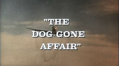 The Dog-Gone Affair (Pilot)