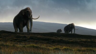 Great Mammoth Mystery