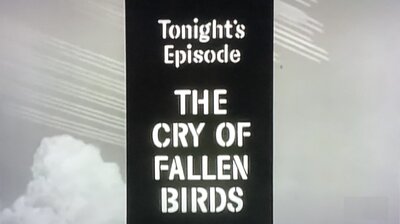 The Cry of Fallen Birds