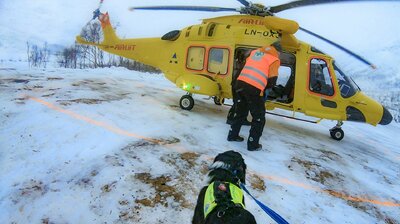 Savnet skikjører