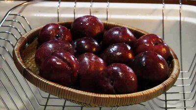 Chinese Plums