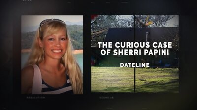 The Curious Case of Sherri Papini