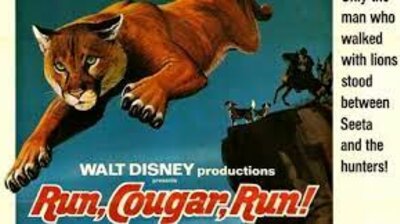Run, Cougar, Run (2)