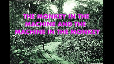 The Monkey in the Machine and the Machine in the Monkey