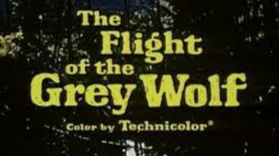 The Flight of the Grey Wolf (2)