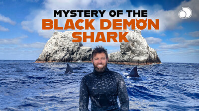 Mystery of the Black Demon Shark
