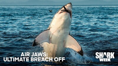 Air Jaws: Ultimate Breach Off