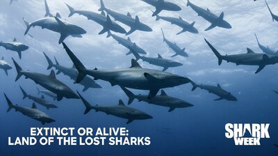 Extinct or Alive: Land of the Lost Sharks