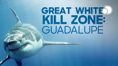 Great White Kill Zone: Guadalupe