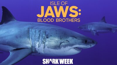 Isle of Jaws: Blood Brothers