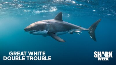 Great White Double Trouble