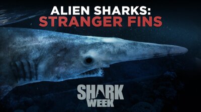 Alien Sharks: Stranger Fins