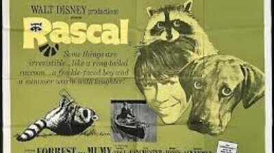 Rascal (2)