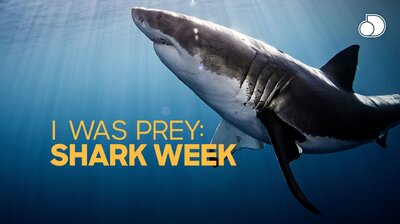 I Was Prey: Shark Week