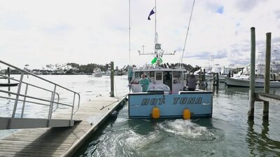 Beggin' for a Bluefin