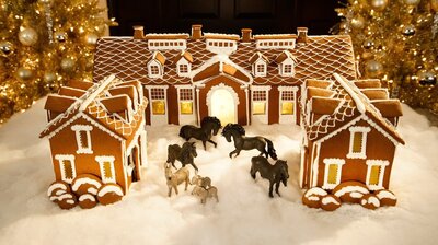 Gorgeous Gingerbread Houses From Start To Finish