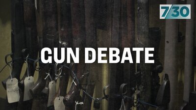 Gun Debate